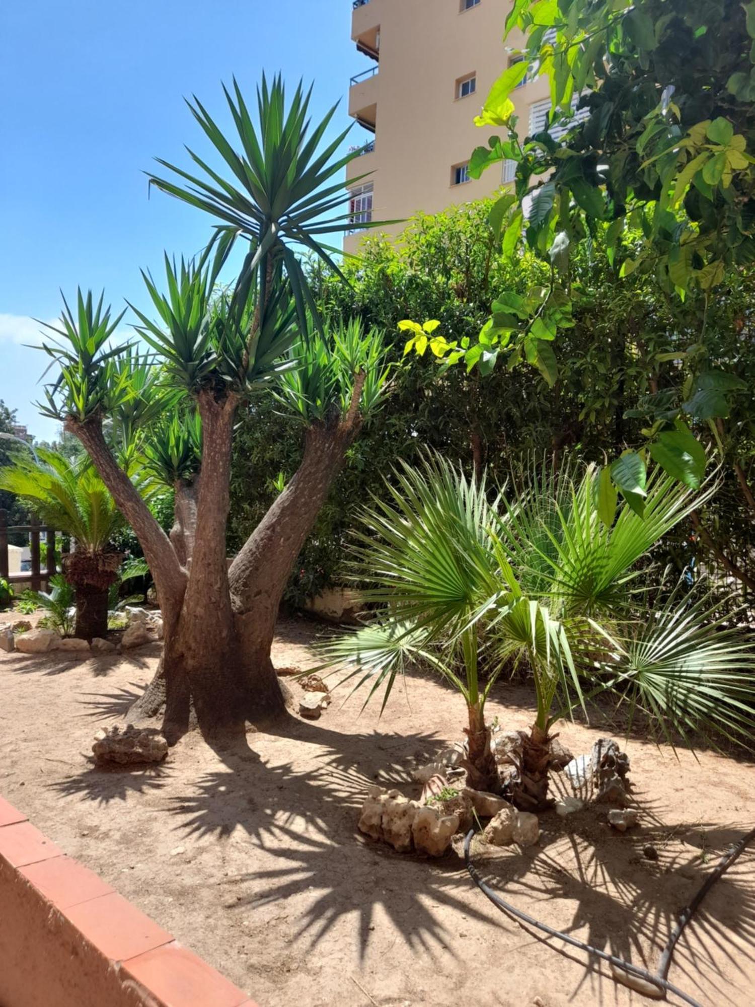 Torremolinos Centro Beach Leilighet Eksteriør bilde